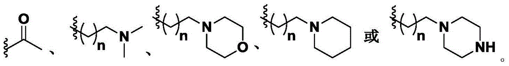 Perylene amide analog, preparation method and application thereof