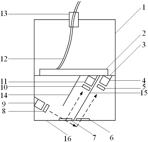 Turbidity sensor and turbidity measuring device