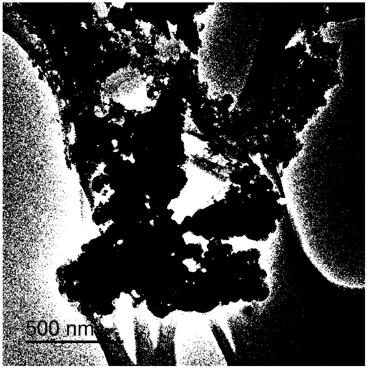 Nickel-catalyzed nano-magnesium negative electrode material for magnesium-lithium double-salt battery and preparation method of negative electrode material