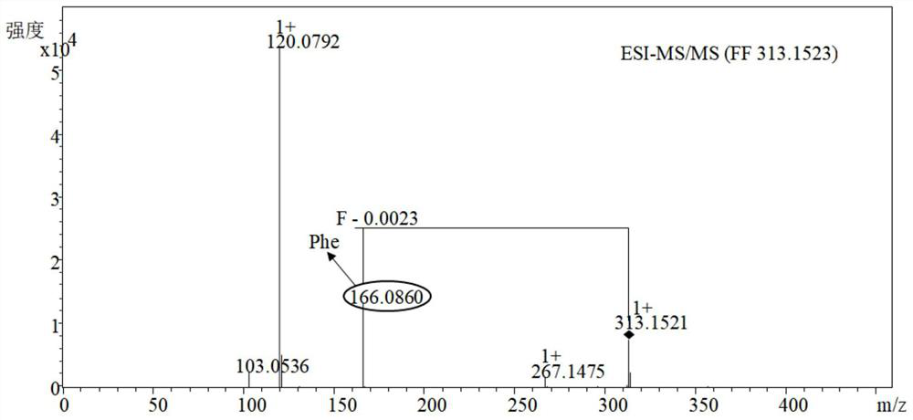 A sleep-improving enzymatic hydrolyzate rich in aromatic amino acids and preparation method thereof