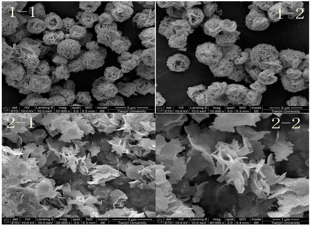 Hydro-thermal synthesis method of visible light photocatalyst mesoporous Bi2WO6