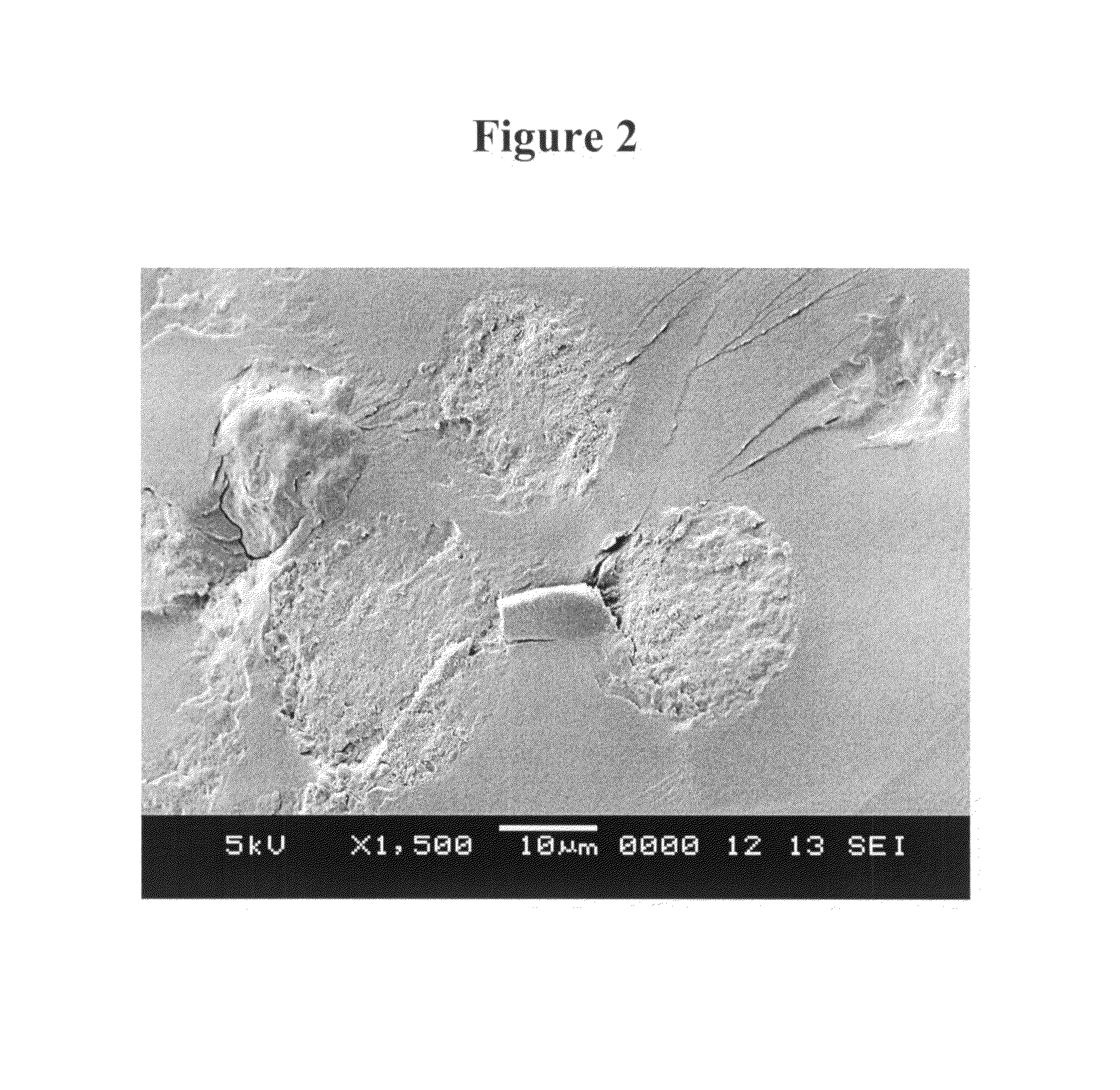 Controlled release microparticles