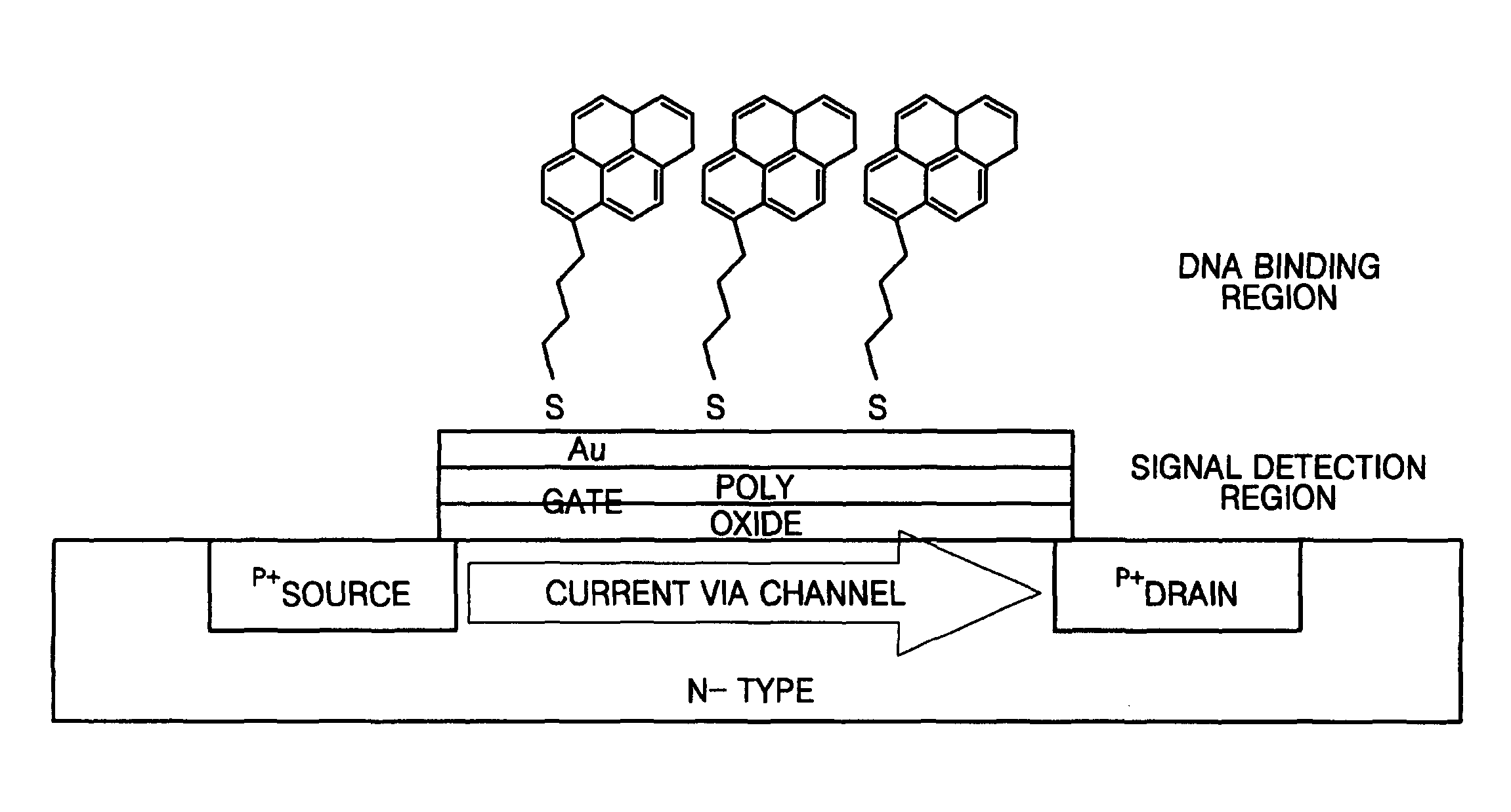 FET-type biosensor with surface modification