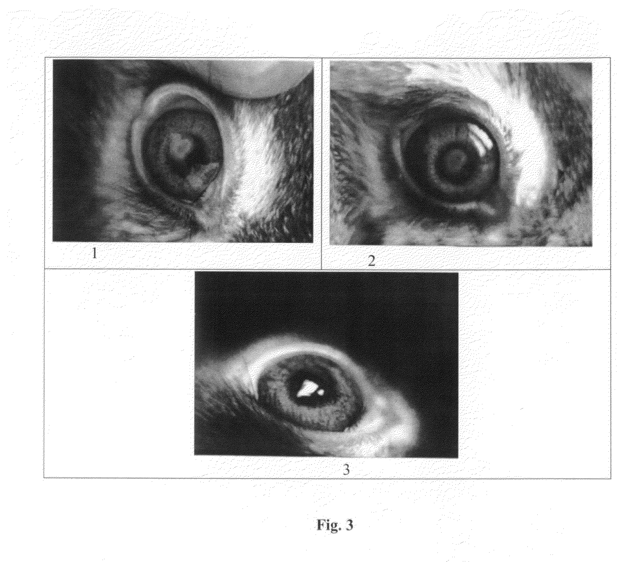 Modified peptides with antiviral properties and methods for obtaining them
