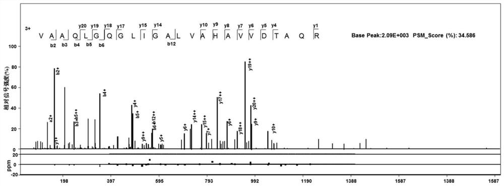 Mycobacterium tuberculosis H37Rv new gene Rv2203c, and coding protein and application thereof