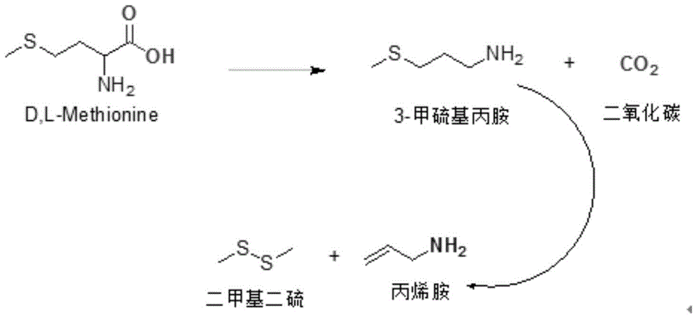 Method for preparing methionine