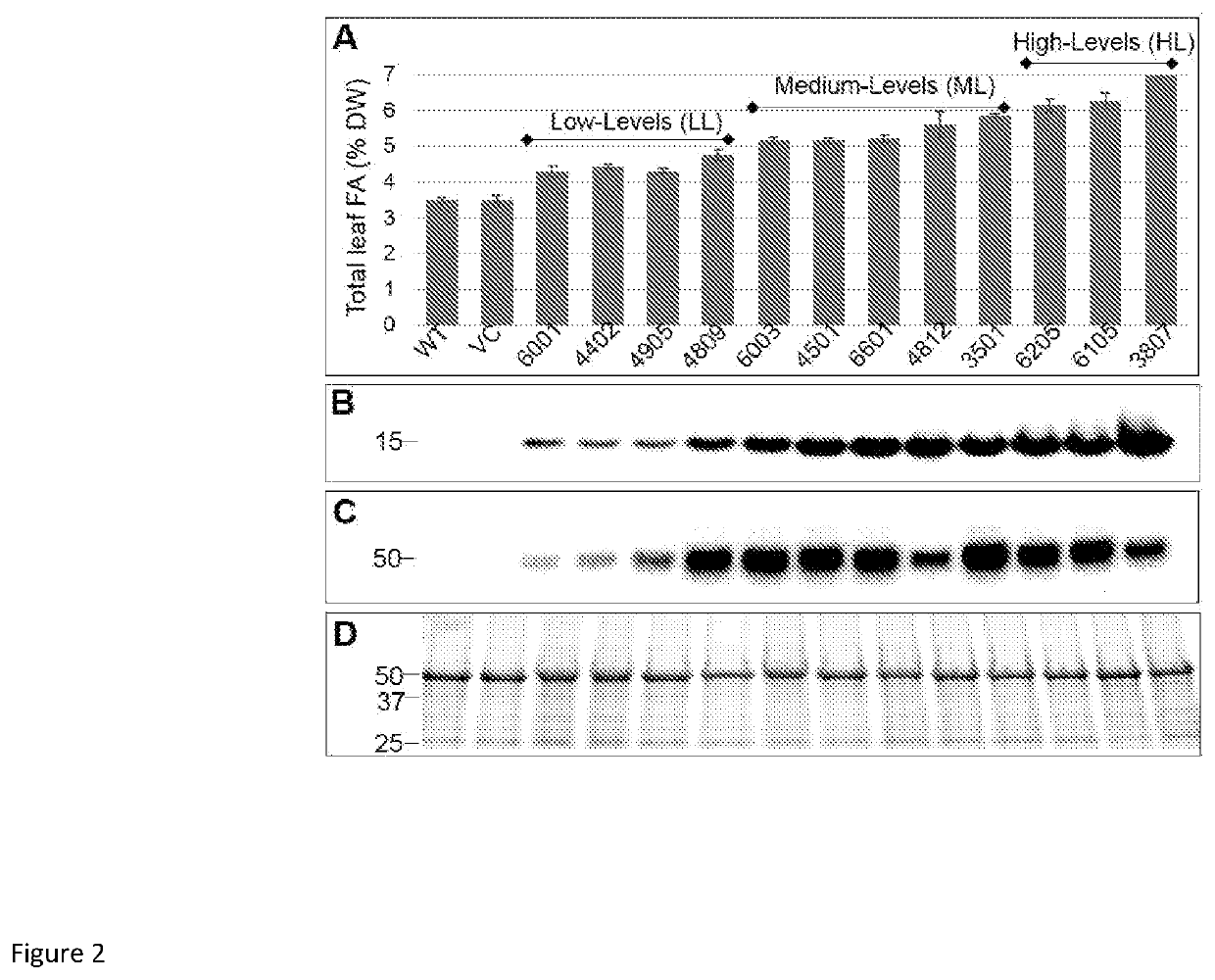 Methods for improving photosynthetic organisms