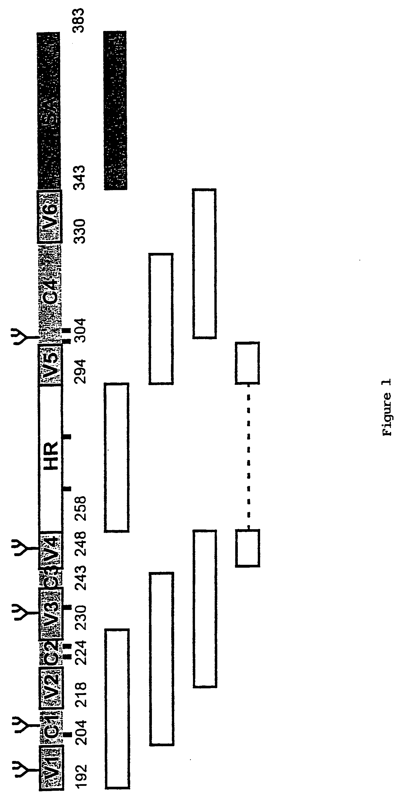 Multi-mer peptides derived from hepatitis C virus envelope proteins for diagnostic use and vaccination purposes