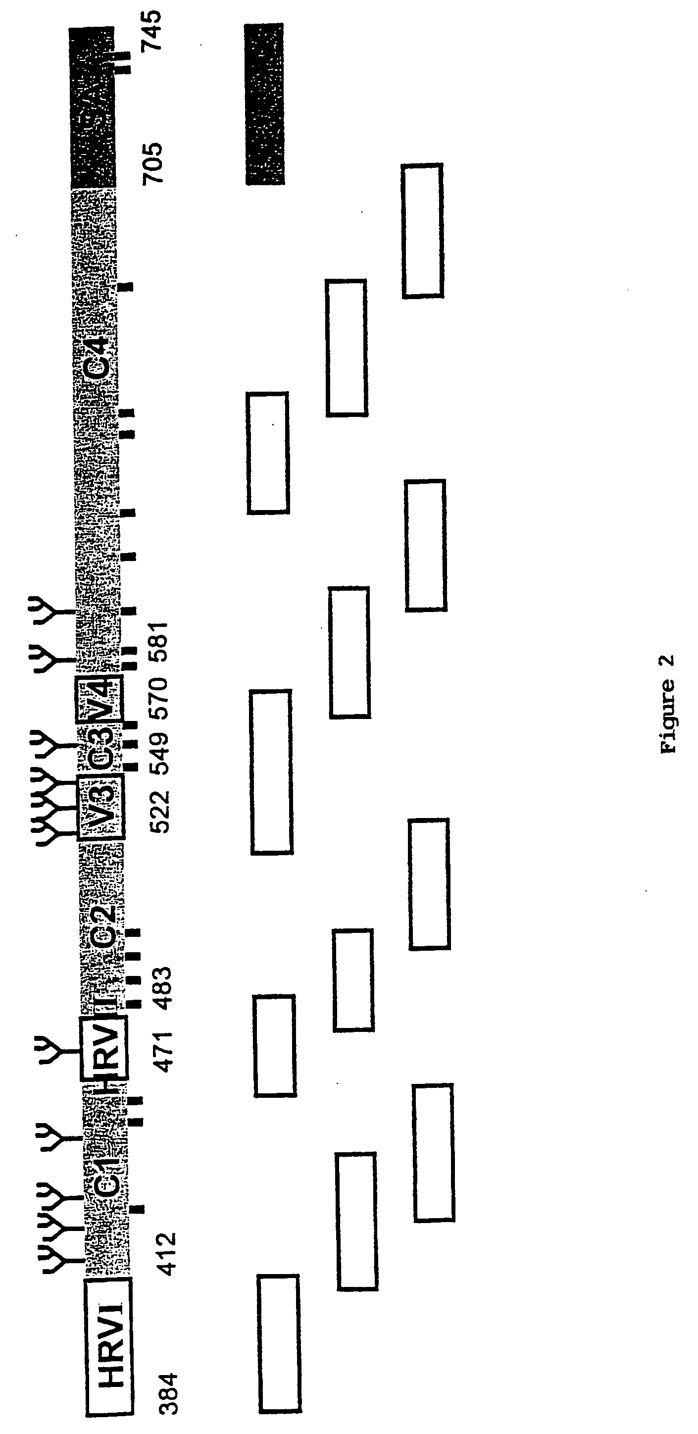 Multi-mer peptides derived from hepatitis C virus envelope proteins for diagnostic use and vaccination purposes