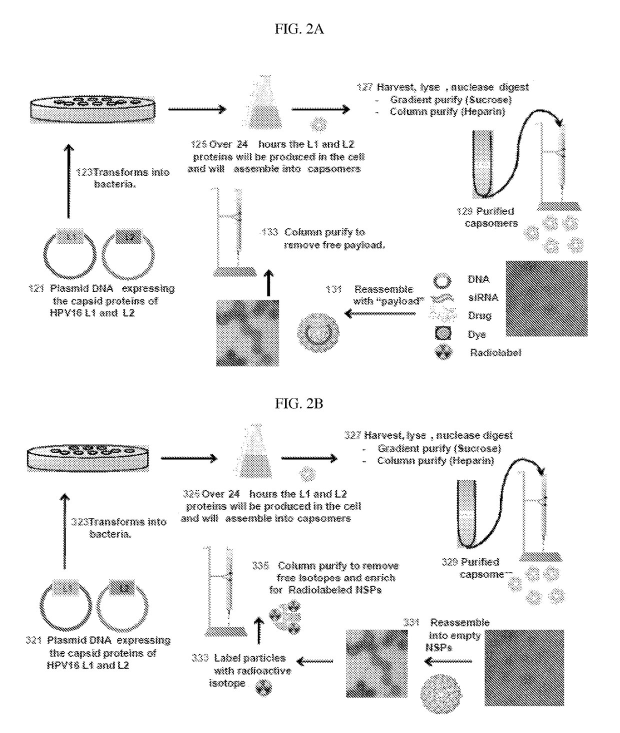 Virion-derived nanospheres for selective delivery of therapeutic and diagnostic agents to cancer cells