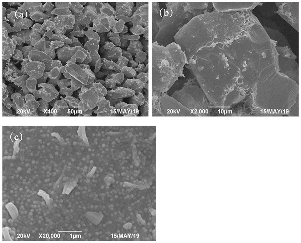 A kind of porous ceramic and its preparation method and application