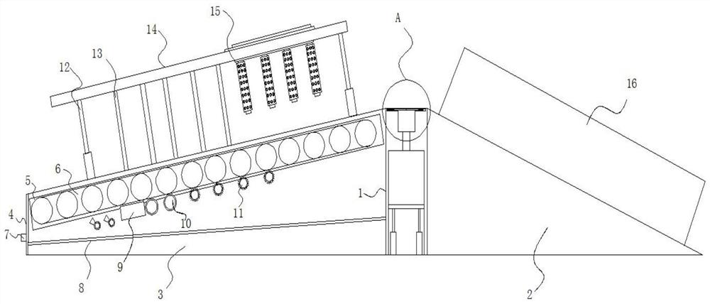 A massage exercise device for improving pork quality of Wannan Hua pig