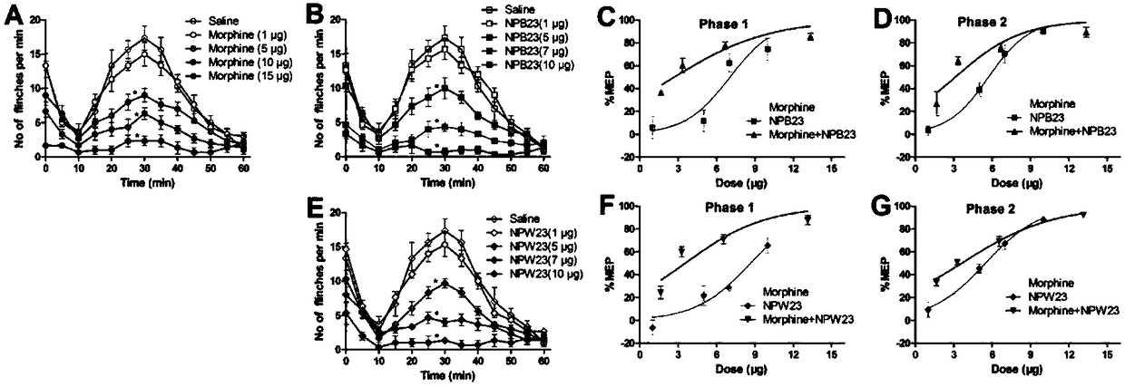 Combined application of neuropeptide B23/W23 and morphine to preparation of analgesic medicines