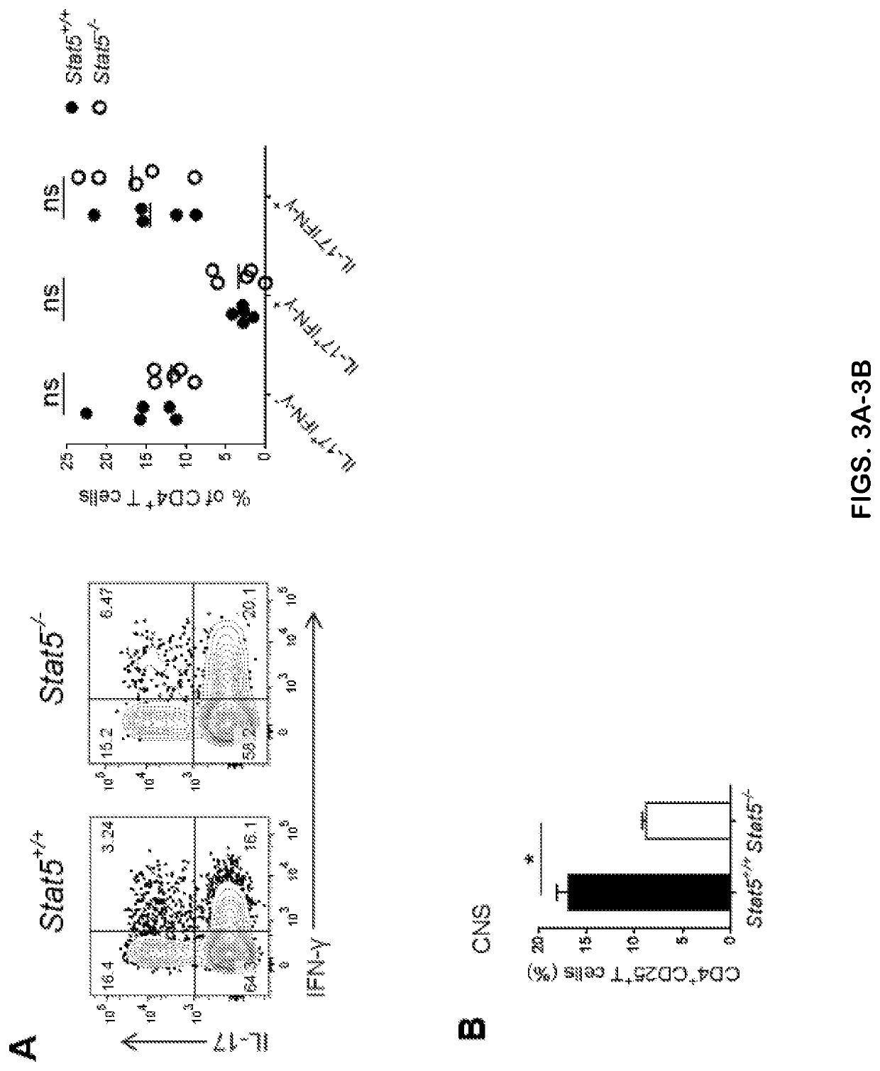 Methods and compositions for modulating T<sub>H</sub>-GM cell function