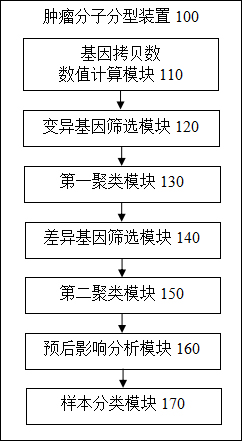 Tumor molecular typing method and device, terminal equipment and readable storage medium