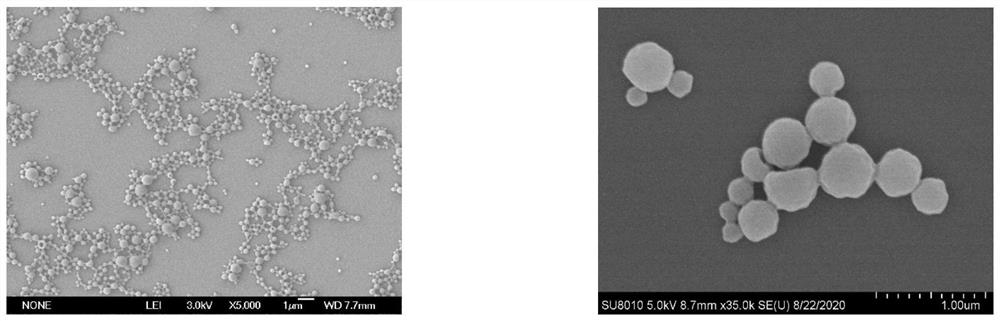 Preparation method of double-loading pesticide nano microcapsule suspending agent