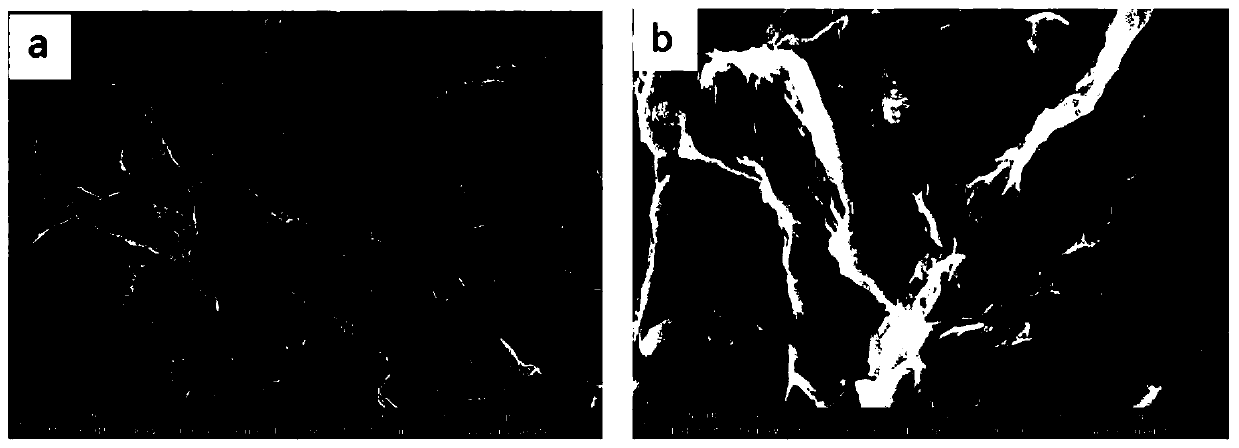 Molecular imprinting electrochemical detection method for ketamine drugs