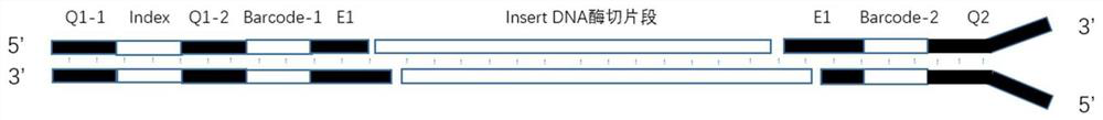 Library building connector and method suitable for simplified genome sequencing of DNBSEQ technology