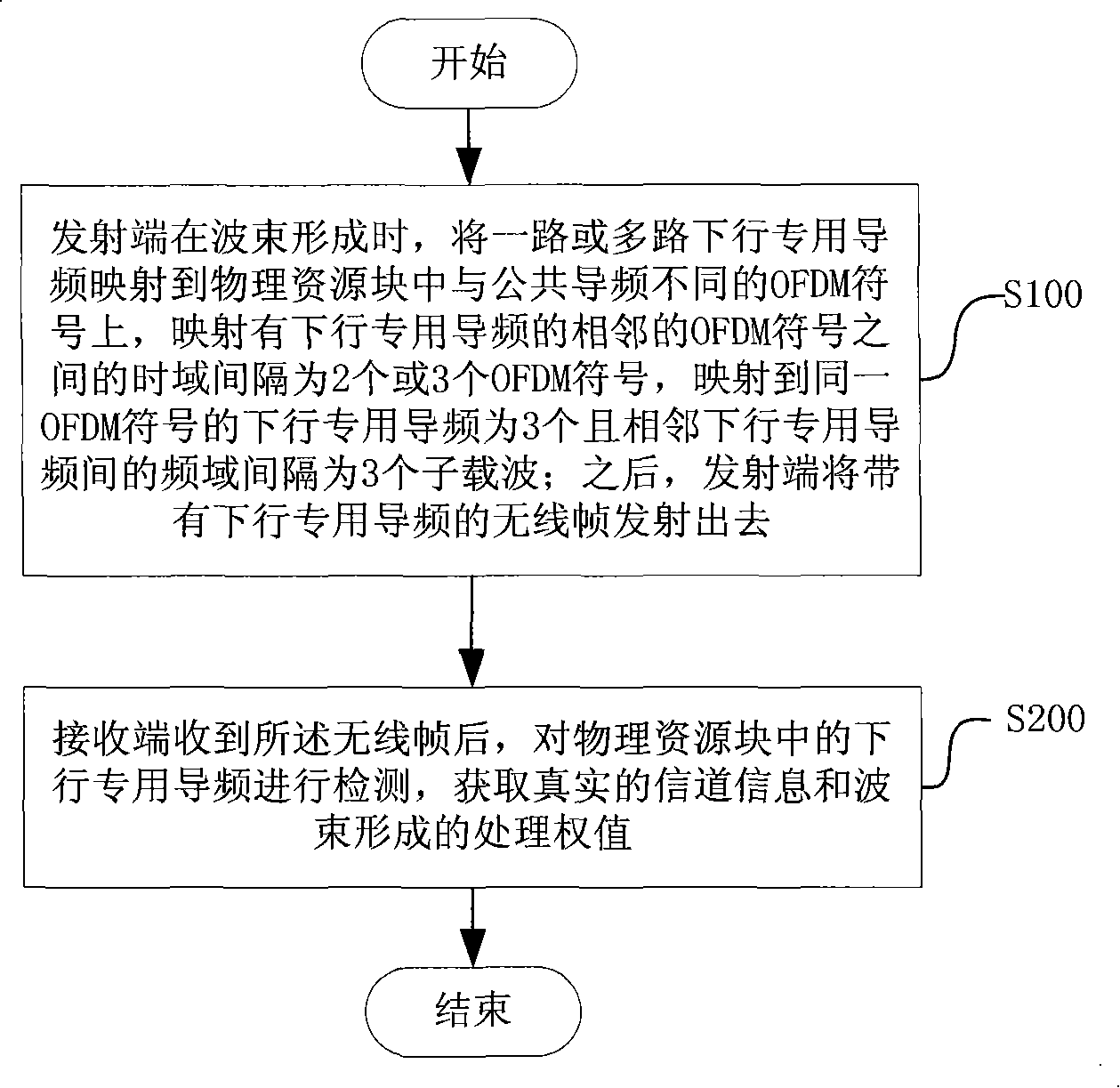 Mapping method of pilot frequency and physical resource block special for downstream and transmitting device thereof