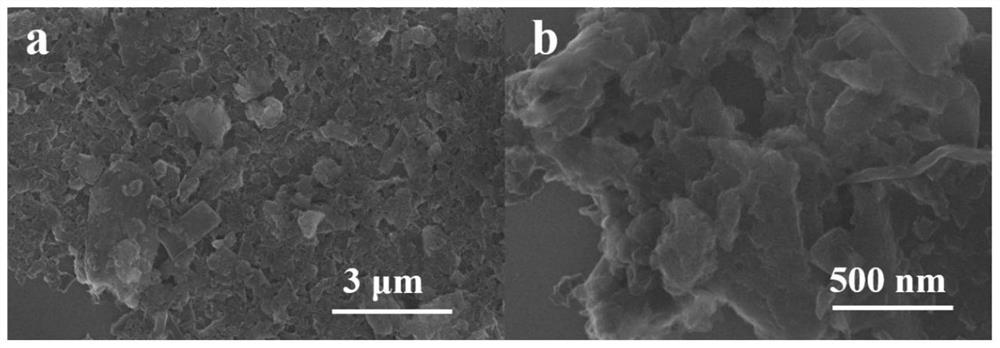 A kind of n, s co-doped metal-free cns oxygen reduction catalyst and its preparation method