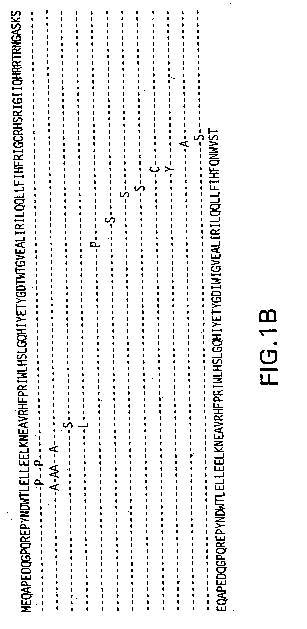 Functional fragments of HIV-1 VPR protein and methods of using the same