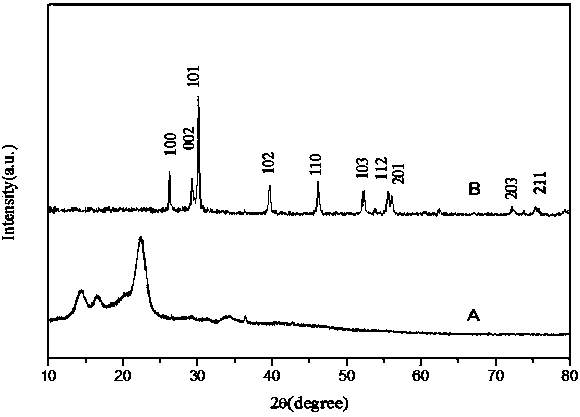 Adsorbent of bacterial cellulose supported lanthanum metal compound, as well as preparation and application of absorbent