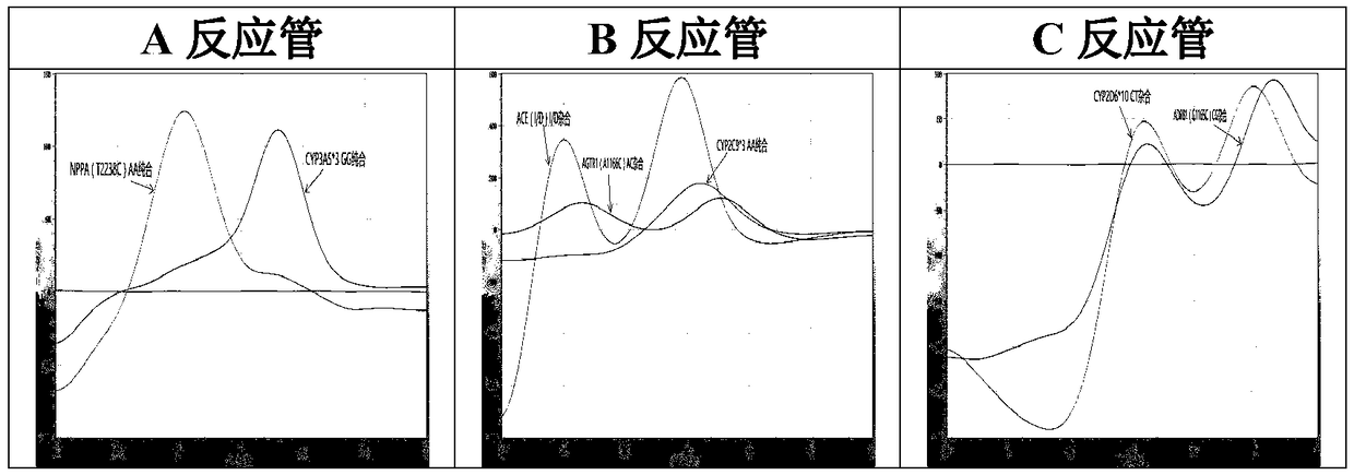 Hypertension gene polymorphism fluorescent PCR (polymerase chain reaction) solubility curve detecting kit and application thereof