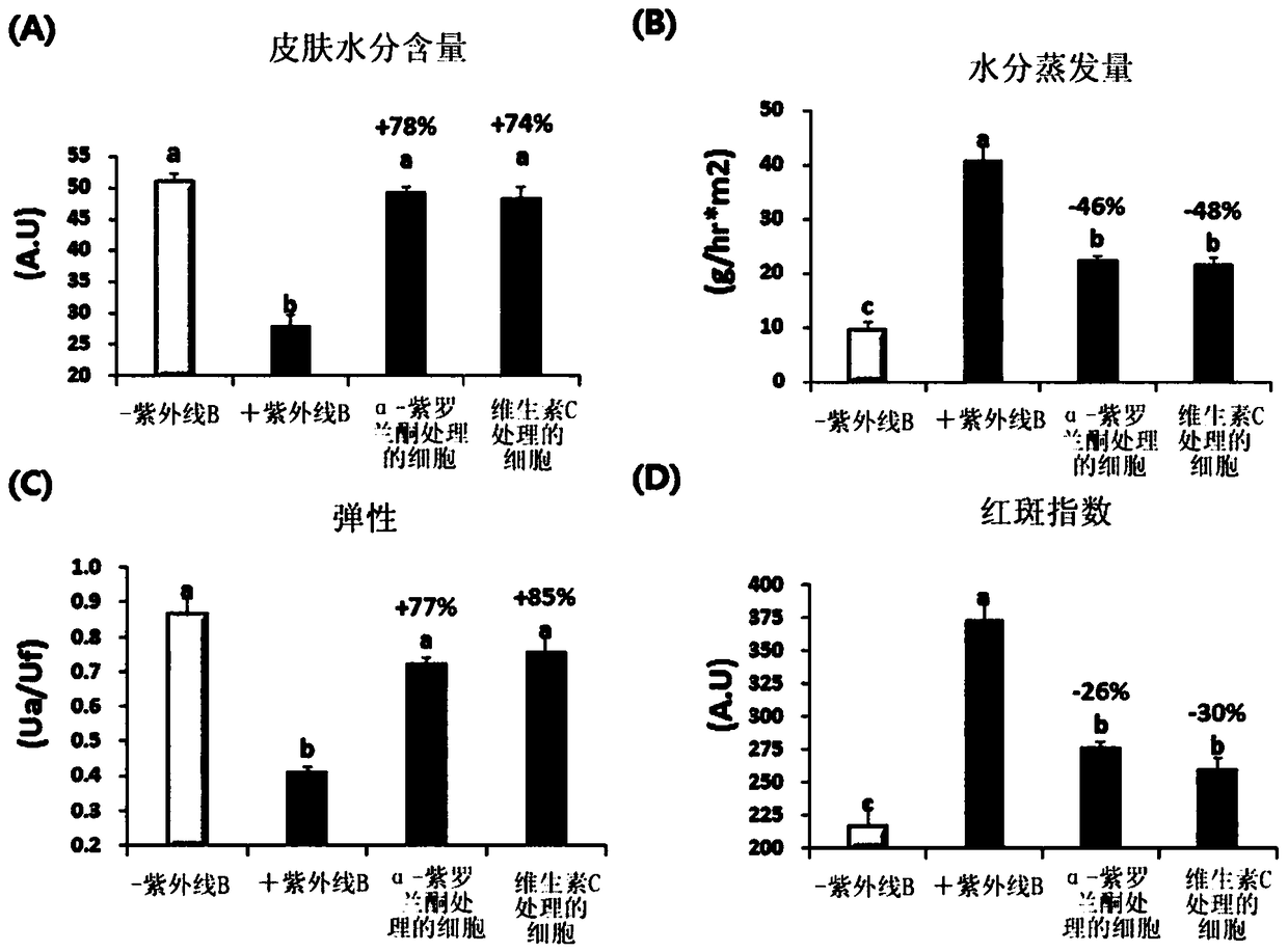 Composition having effect of improving skin moisturization, removing skin keratin, improving skin elasticity, inhibiting erythema, improving skin wrinkles or improving skin photoaging, containing ionone or salt thereof as active ingredient