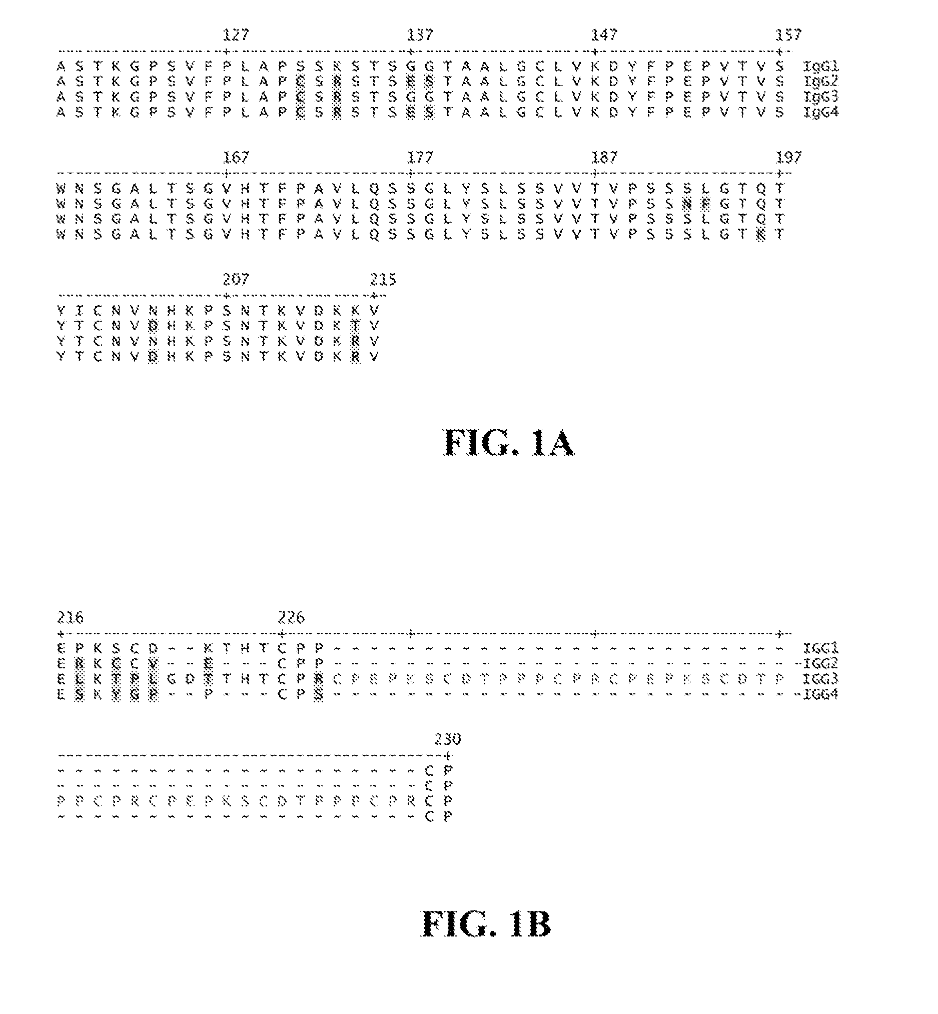 Identification and engineering of antibodies with variant heavy chains and methods of using same