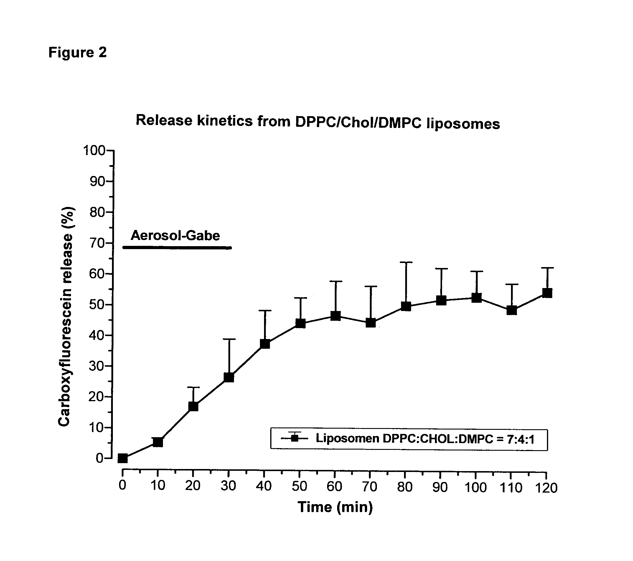 Nebulized liposomes for the pulmonary application of drug compounds