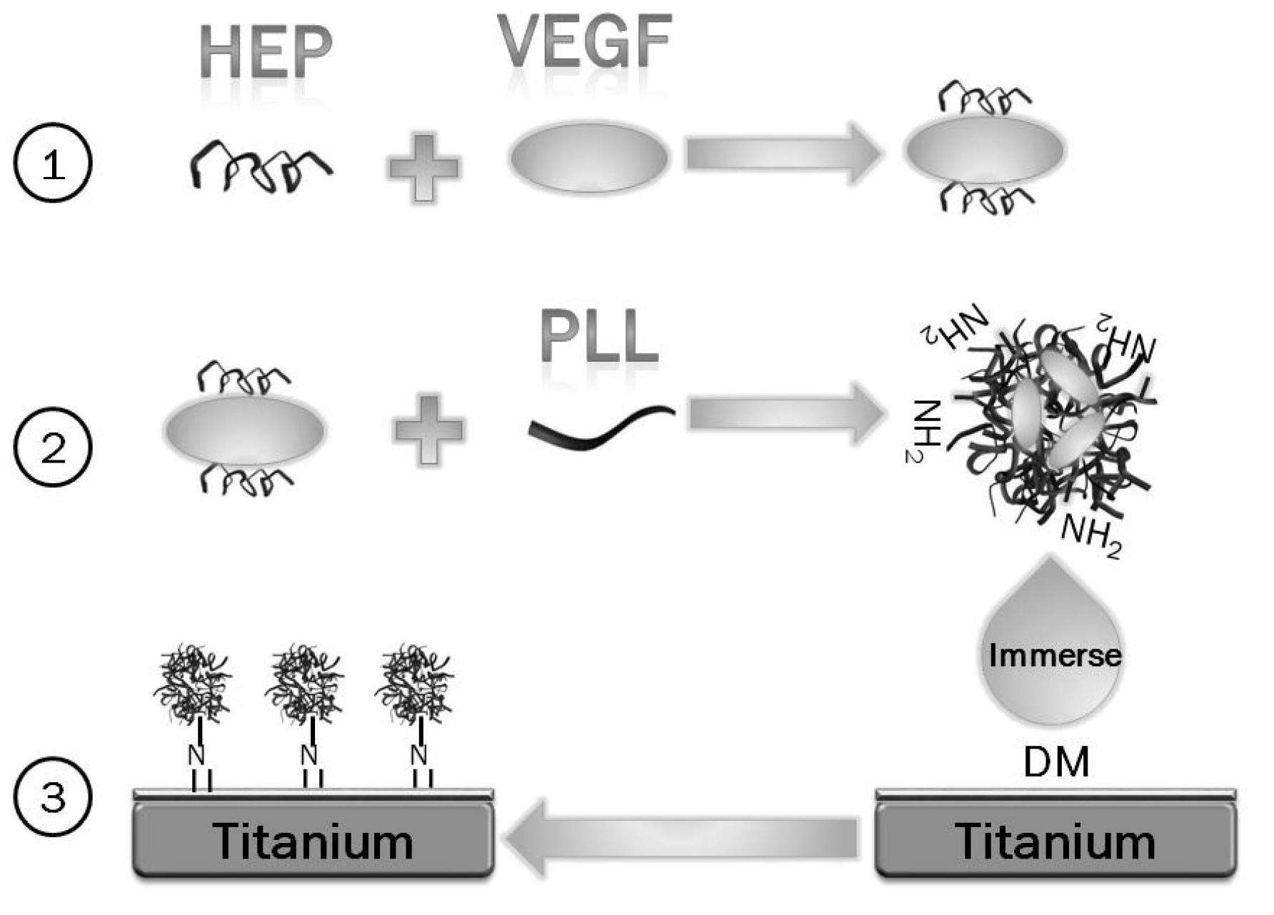 Method for immobilizing VEGF-carried heparin/polylysine nanoparticles on Ti surface