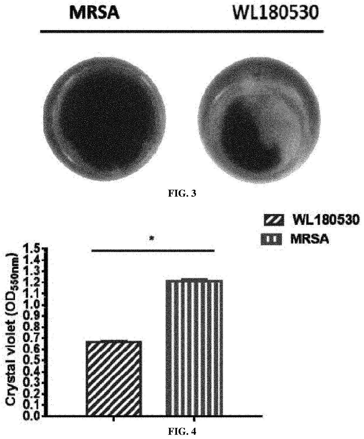 Methicillin-Resistant Staphylococcus Aureus Mutant Strain And Use Thereof