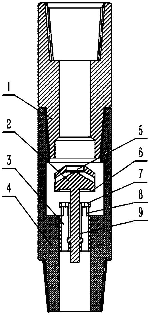 Arrow-shaped check valve