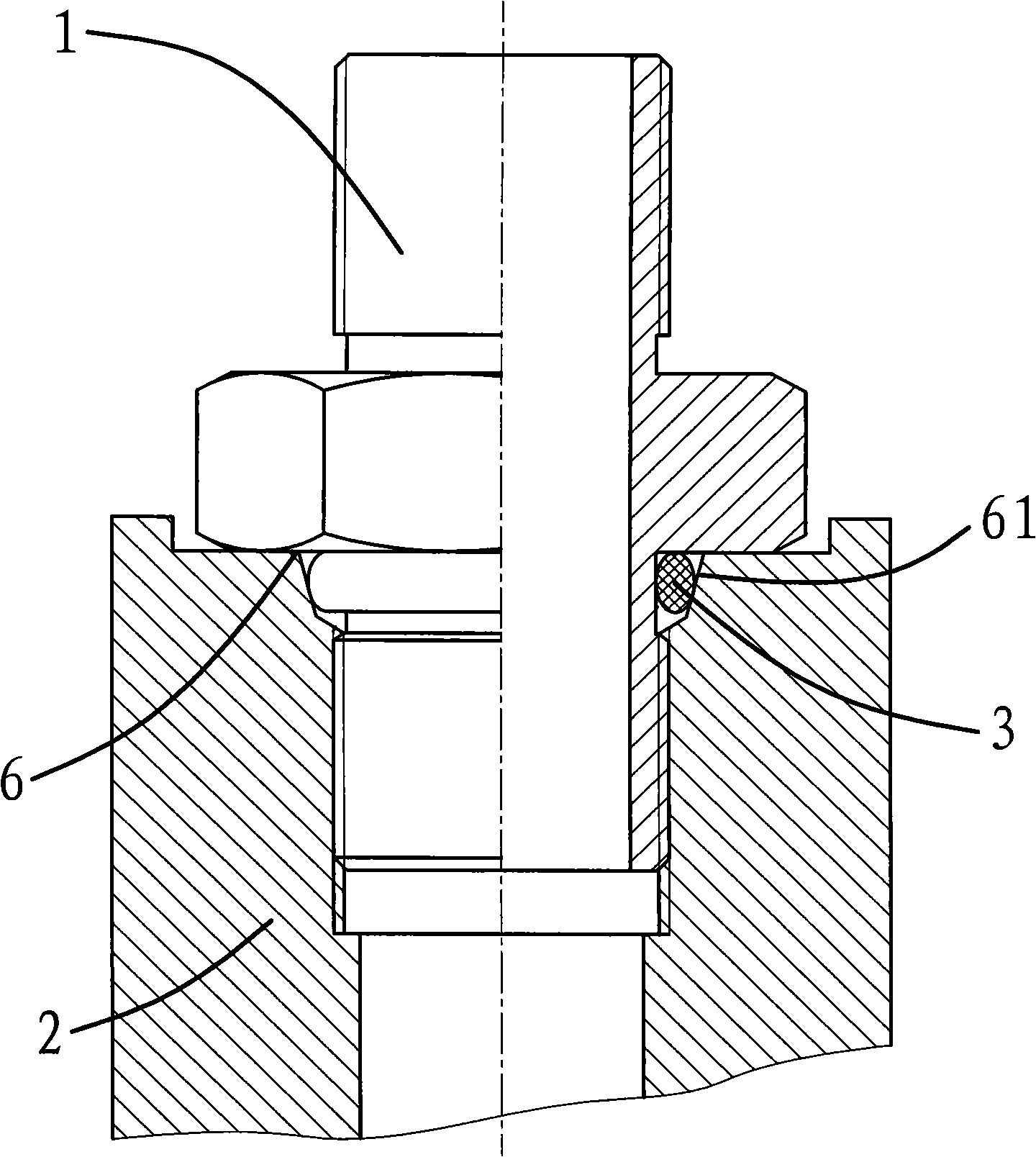 Seal structure of joint for pipe fittings