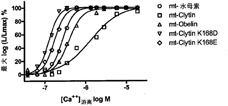 Modified photoproteins with increased affinity for calcium and enhanced bioluminescence and uses thereof