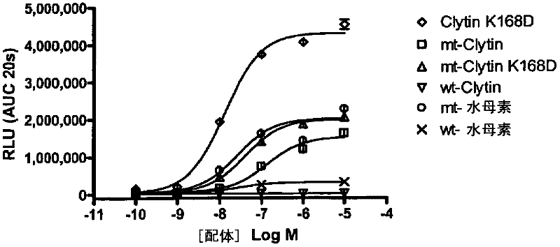 Modified photoproteins with increased affinity for calcium and enhanced bioluminescence and uses thereof