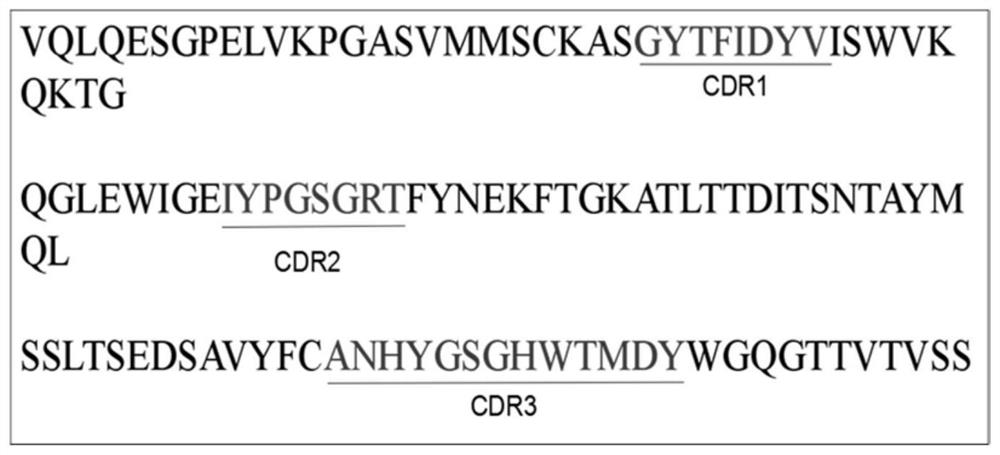 A kind of PRRS virus murine monoclonal antibody and its preparation method and application