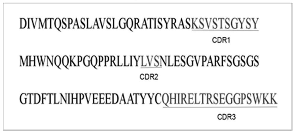 A kind of PRRS virus murine monoclonal antibody and its preparation method and application