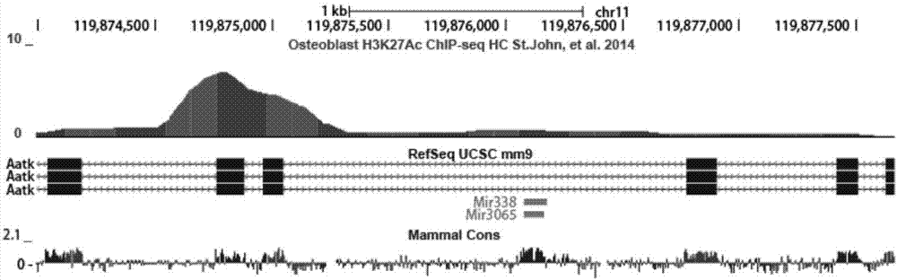 MiRNA (micro Ribonucleic Acid) marker and kit related to postmenopausal osteoporosis