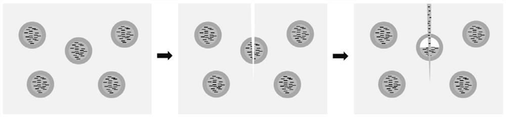 Conductive microcapsule, graphene conductive ink, preparation method and application thereof, graphene conductive film and self-repairing method of graphene conductive film