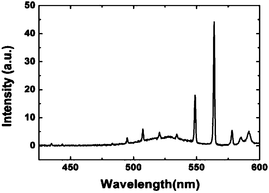 GaN-based vertical cavity surface emitting light source with tunable light emitting wavelength