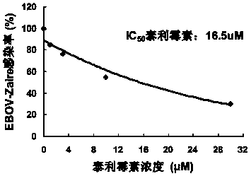 Application of macrolides in anti-filovirus infection