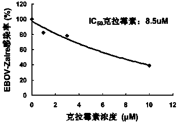 Application of macrolides in anti-filovirus infection