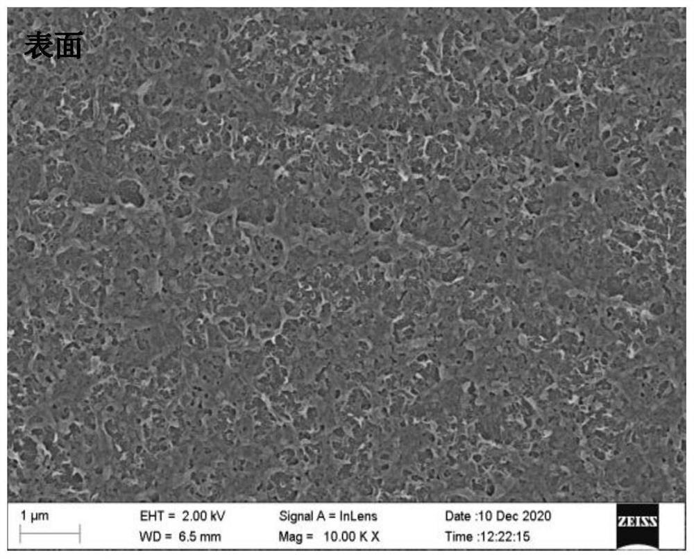 Preparation method of nanofiltration membrane for intercepting nitrate and resource utilization of concentrated solution