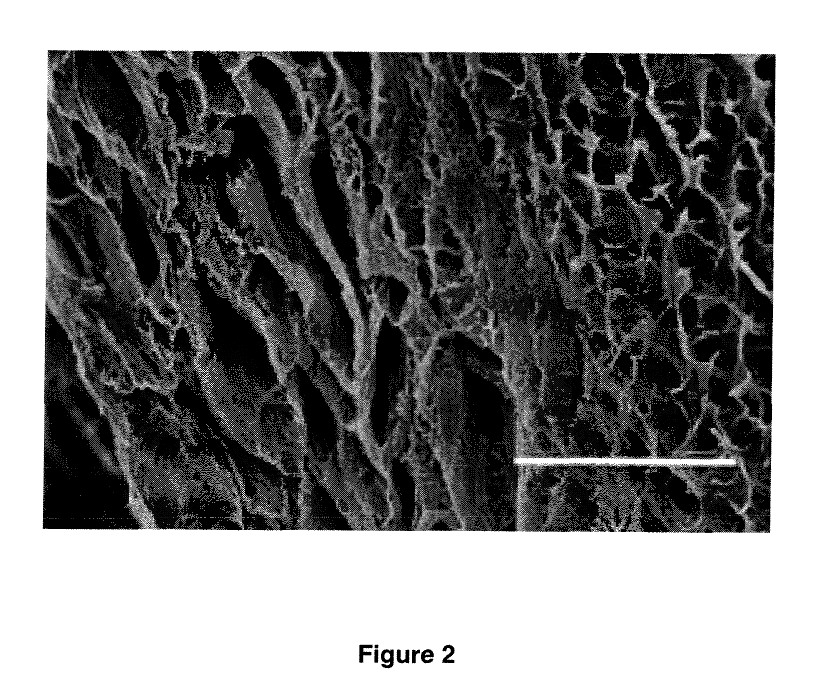Method for Preparing Porous Scaffold for Tissue Engineering, Cell Culture and Cell Delivery