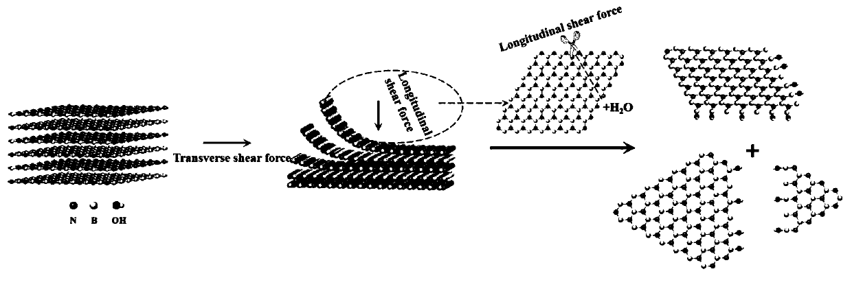 Method for preparing modified boron nitride nanosheets by water-phase shearing method
