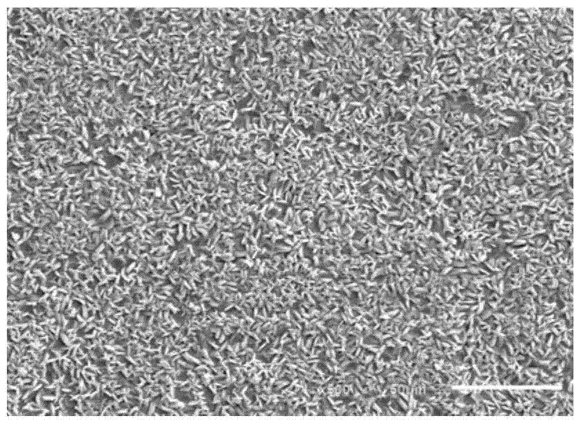 Normal temperature slag-free phosphating solution before electrophoresis of galvanized steel sheet for automobile and preparation method thereof