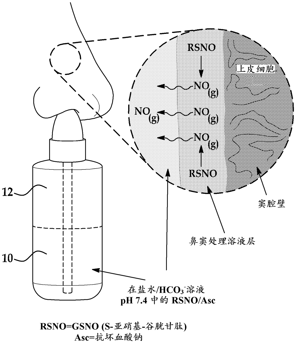 Nitric oxide generating formulations and kits