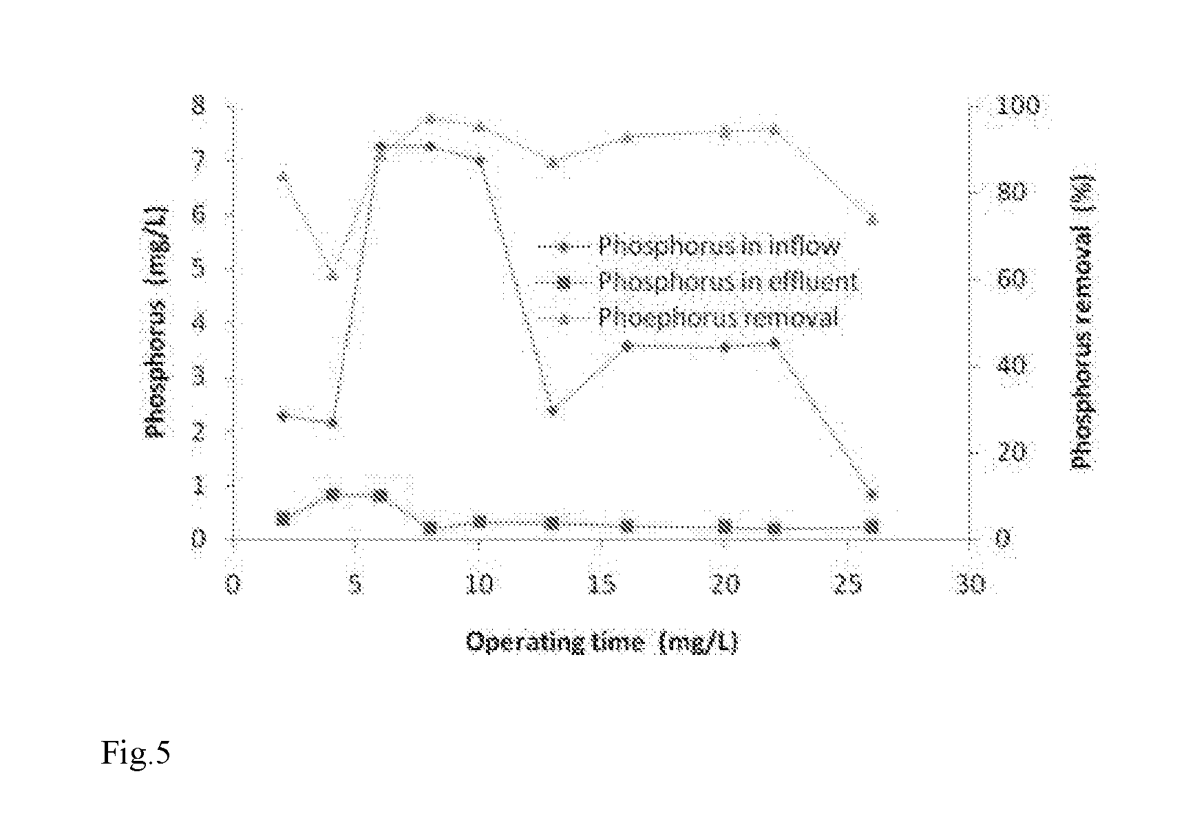 Natural pyrrhotite biological filter and method for utilizing same to synchronously remove nitrate-nitrogen and phosphorus from water
