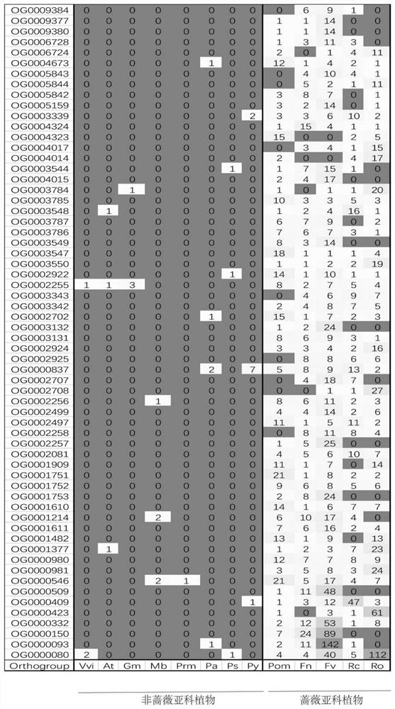 Method for identifying pedigree-specific amplified gene family